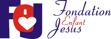 FEJ Logo